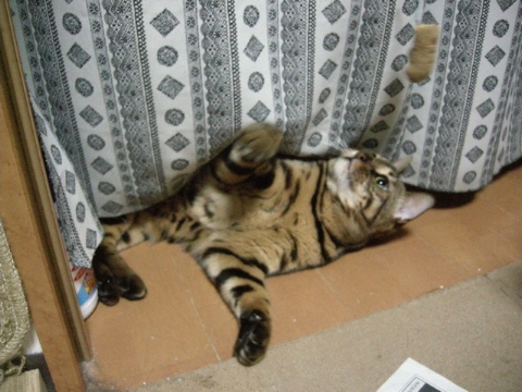 油断禁物 2009/08/18-4