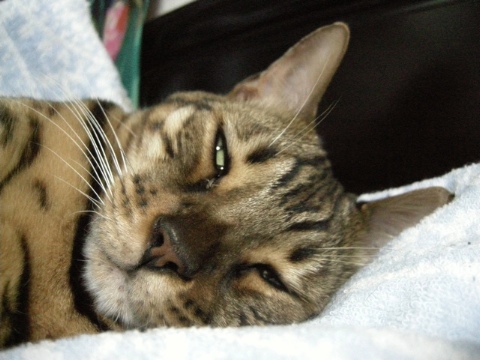 起きた 2009/08/24-2