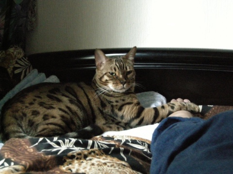 前足の位置が大事 2009/08/24-4