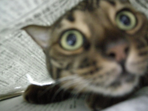 えっ！ 2009/08/29-3