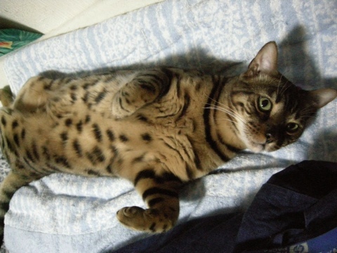 起きてもキョンシー 2009/09/06-3