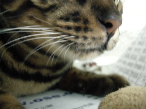 だれだ？ 2009/09/12-1