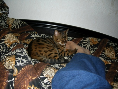 くちゃい 2009/09/12-3