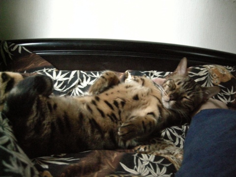 でも，ルンルン♪ 2009/09/12-4