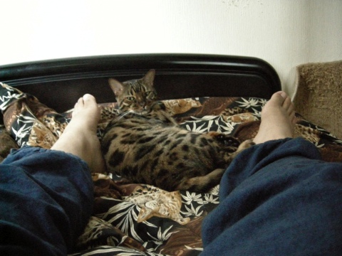 小鉄かと思った 2009/09/21-2