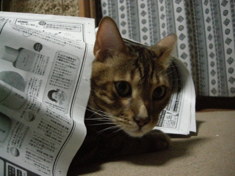 ジュニアも忘れないで。。。 2009/09/21-5