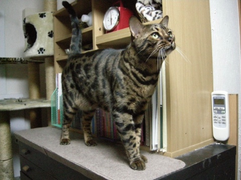 うらやましい？ 2009/09/26-1