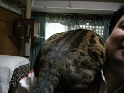 これが。。。 2009/09/26-2