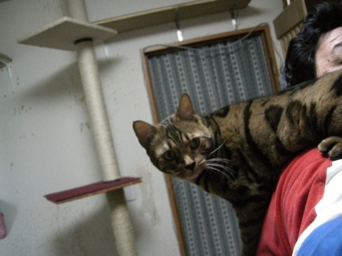 へたれ 2009/09/26-3