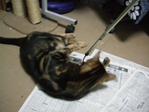 こっちも同じ 2009/10/05-3