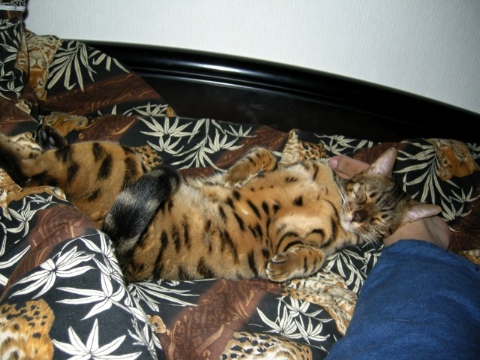 足を枕にしてからに 2009/10/13-1