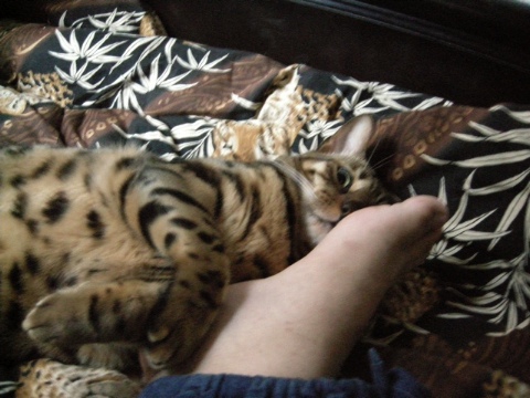 これでもくらえ！ 2009/10/13-2