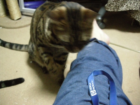 気になる。。。 2009/10/25-2