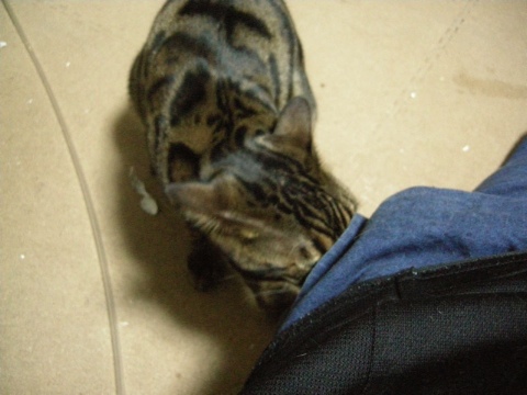 ごそごそ 2009/10/25-4