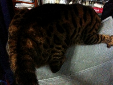 おひさ 2009/11/15-1