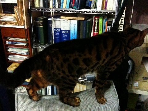 一人で立てるもん 2009/11/15-3