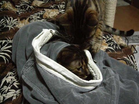 ちょっと，ちょっと 2009/11/21-1