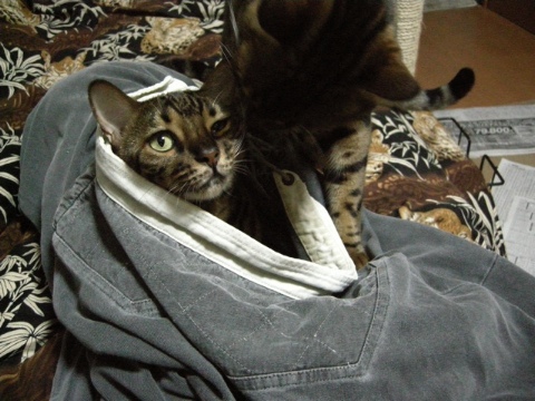 ほら。はやく。 2009/11/21-2