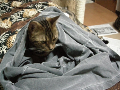 やっぱ，もぐらんと 2009/11/21-4