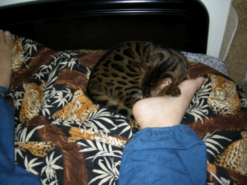 ぴとっ 2009/12/06-1