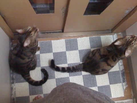 はやく，はやく 2009/12/06-4