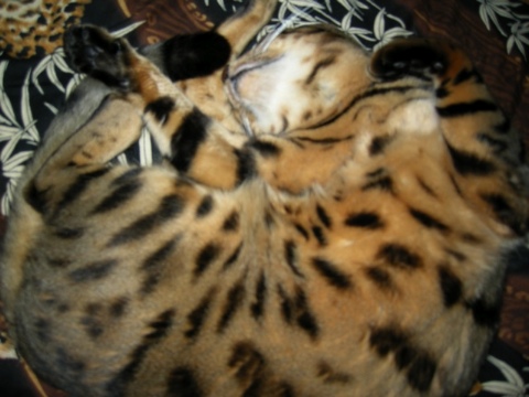 あられもない姿 2009/12/29-1