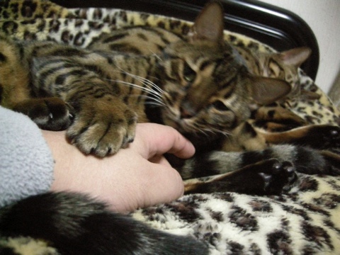 ちょっとちょっかい 2010/02/20-3